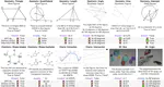 VisOnlyQA: Large Vision Language Models Still Struggle with Visual Perception of Geometric Information